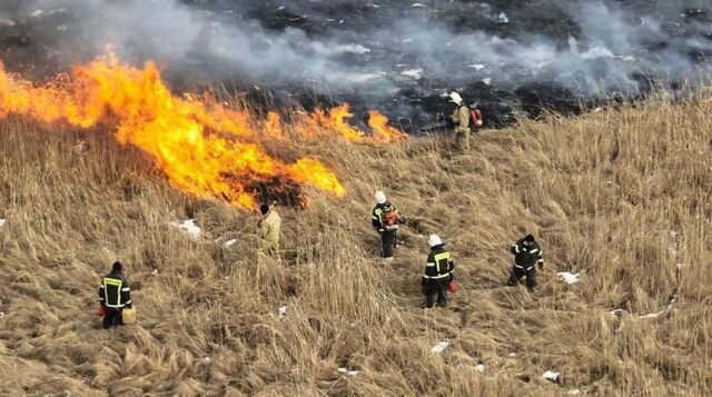 5 тысяч гектаров выгорело в масштабном природном пожаре в Хасанском районе - Vladnews.ru - Новости Владивосток и Дальнего Востока, 26.02.2026