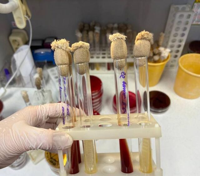 В поликлиниках Приморья закрепили кураторов для участников СВО В поликлиниках Приморья закрепили кураторов для участников СВО - Vladnews.ru - Новости Владивосток и Дальнего Востока, 02.03.2026