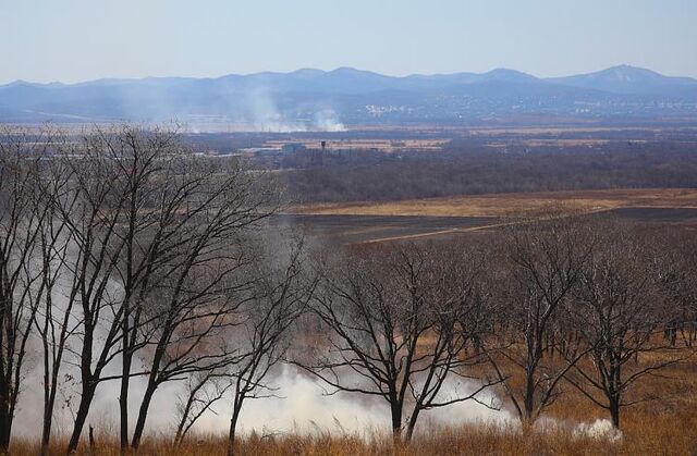 В первый день весны в Приморье потушили два природных пожара - Vladnews.ru - Новости Владивосток и Дальнего Востока, 02.03.2026