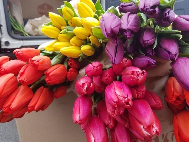 Цветочная география: откуда везут тюльпаны и мимозу в Приморье - Vladnews.ru - Новости Владивосток и Дальнего Востока, 06.03.2026