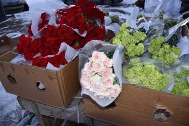 Россельхознадзор остановил ввоз зараженных цветов в Приморье - Vladnews.ru - Новости Владивосток и Дальнего Востока, 06.03.2026