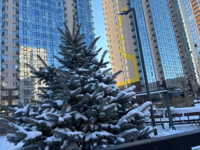 В Приморье благоустроят 30 дворов в 6 муниципалитетах - Vladnews.ru - Новости Владивосток и Дальнего Востока, 10.03.2026