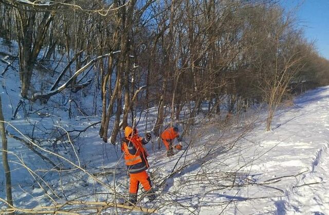 Примавтодор убрал кустарник с 60 гектаров придорожных зон - Vladnews.ru - Новости Владивосток и Дальнего Востока, 11.03.2026