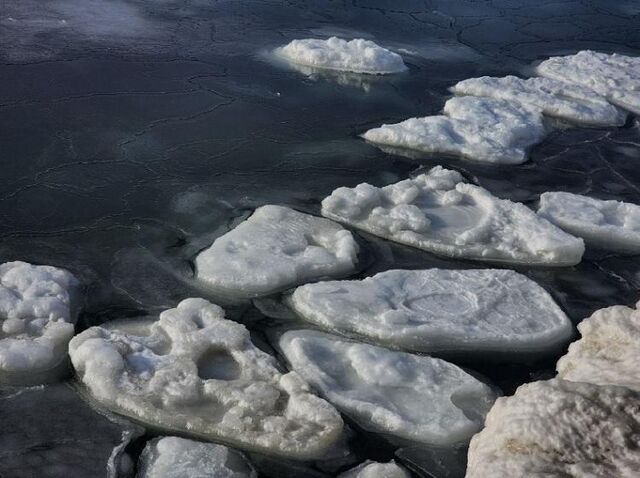 Лёд в Приморье активно тает: выход на него крайне опасен - Vladnews.ru - Новости Владивосток и Дальнего Востока, 12.03.2026