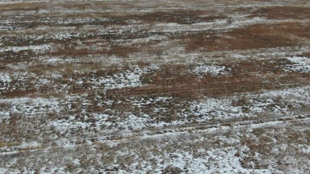 В Приморье почти 900 гектаров сельхозземель оказались заброшенными - Vladnews.ru - Новости Владивосток и Дальнего Востока, 18.03.2026