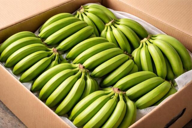 Бананы могут привести к увеличению веса и вздутию живота - Vladnews.ru - Новости Владивосток и Дальнего Востока, 19.03.2026