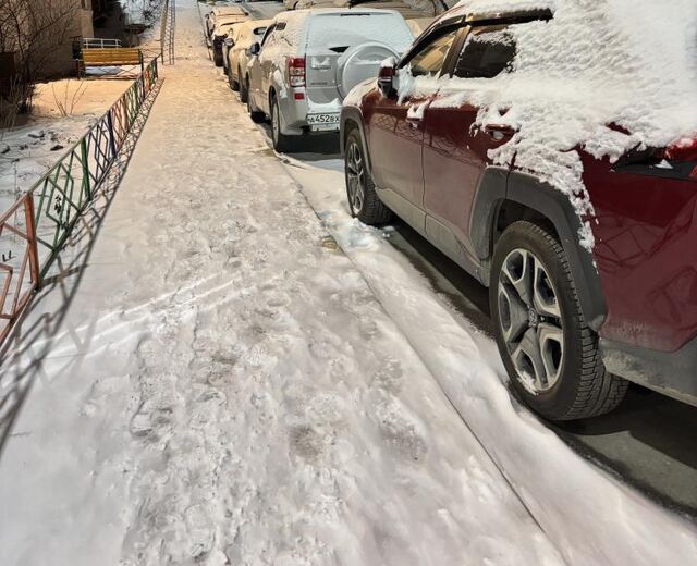 На дороги Приморья вывели 350 единиц техники для борьбы со снегопадом - Vladnews.ru - Новости Владивосток и Дальнего Востока, 20.03.2026