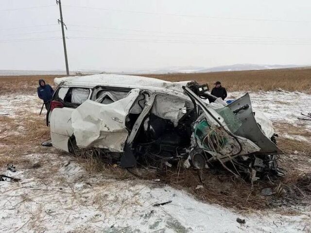 Трагедия на трассе: в Пограничном районе расследуют смертельное ДТП - Vladnews.ru - Новости Владивосток и Дальнего Востока, 01.04.2026