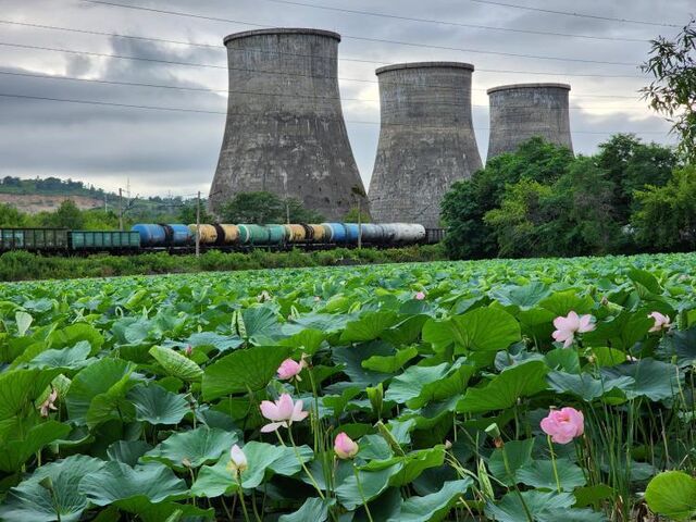 В Приморье одобрили размещение двух энергоблоков новой АЭС - Vladnews.ru - Новости Владивосток и Дальнего Востока, 15.04.2026