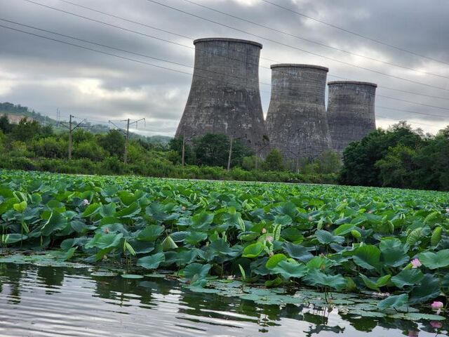 Дальний Восток станет атомным макрорегионом: Приморье — первый шаг - Vladnews.ru - Новости Владивосток и Дальнего Востока, 15.04.2026