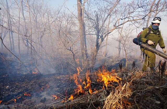 За сутки в Приморье потушено 26 пожаров - Vladnews.ru - Новости Владивосток и Дальнего Востока, 15.04.2026