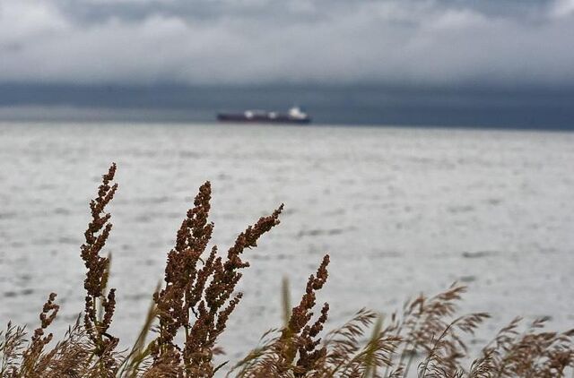 Циклон принесёт дожди в Приморье, а затем уступит место антициклону - Vladnews.ru - Новости Владивосток и Дальнего Востока, 17.04.2026