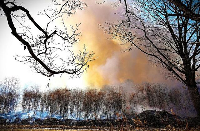 58 пожаров тушили в Приморье на прошедших выходных - Vladnews.ru - Новости Владивосток и Дальнего Востока, 20.04.2026