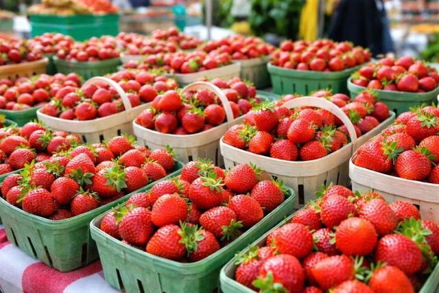 Импорт клубники в Приморье вырос на 20% - Vladnews.ru - Новости Владивосток и Дальнего Востока, 22.04.2026