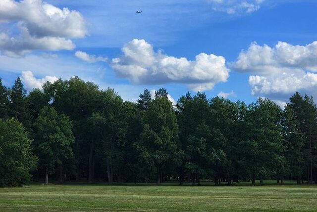 Браконьеры черемши задержаны на острове Стенина в Приморье - Vladnews.ru - Новости Владивосток и Дальнего Востока, 22.04.2026