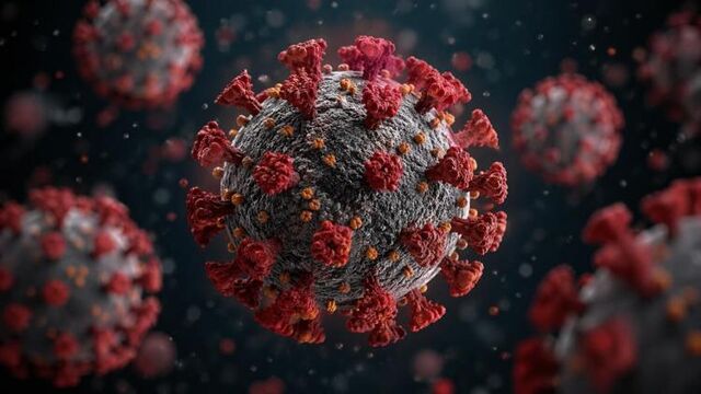 Учёные обнаружили новый механизм проникновения коронавирусов в клетки - Vladnews.ru - Новости Владивосток и Дальнего Востока, 25.04.2026