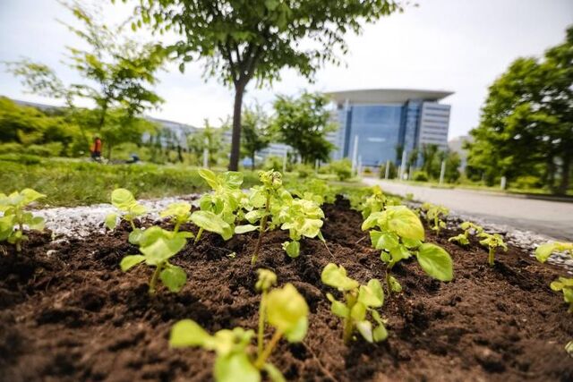 Учебник ДВФУ по зелёной экономике признан лучшим в России - Vladnews.ru - Новости Владивосток и Дальнего Востока, 27.04.2026