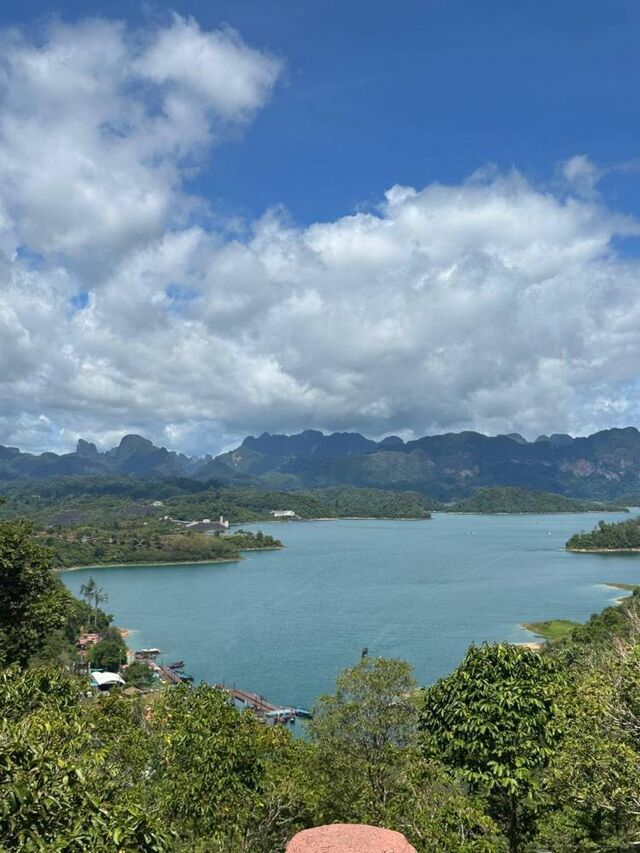 Пыльца березы наиболее опасна для аллергиков при весеннем цветении - Vladnews.ru - Новости Владивосток и Дальнего Востока, 28.04.2026