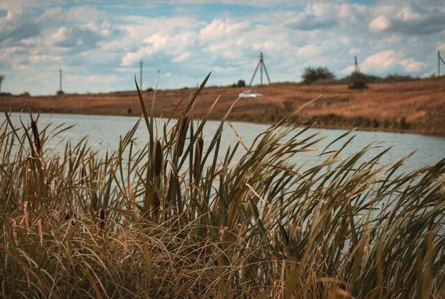 В Приморье выявили незаконное использование 25 беспилотников в АПК - Vladnews.ru - Новости Владивосток и Дальнего Востока, 29.04.2026