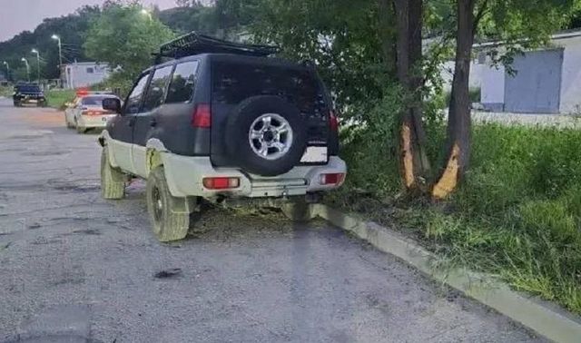 В Дальнегорске пьяный водитель с ребенком в машине врезался в дерево - Vladnews.ru - Новости Владивосток и Дальнего Востока, 01.07.2026