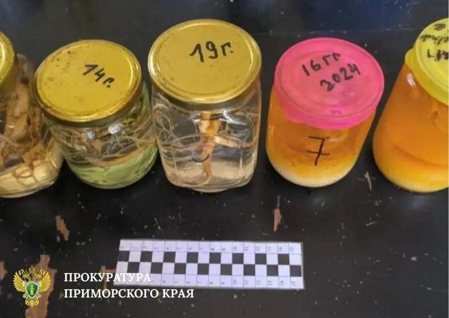 В Приморье пенсионер ответит перед судом за «целебные» настойки из женьшеня - Vladnews.ru - Новости Владивосток и Дальнего Востока, 09.07.2026