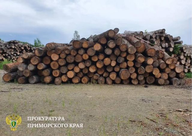 121 млн рублей взыщут за контрабанду леса в Приморье - Vladnews.ru - Новости Владивосток и Дальнего Востока, 13.08.2026
