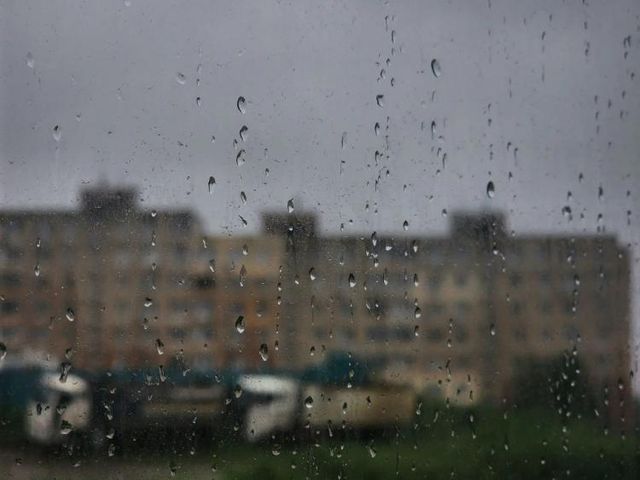 Дожди и грозы продолжают испытывать Приморье: в выходные осадки сохранятся - Vladnews.ru - Новости Владивосток и Дальнего Востока, 14.08.2026