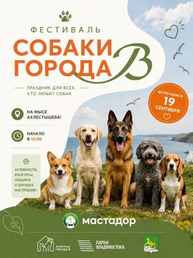 Хвосты, лапы и игры: фестиваль «Собаки города_В» пройдет во Владивостоке - Vladnews.ru - Новости Владивосток и Дальнего Востока, 21.08.2026