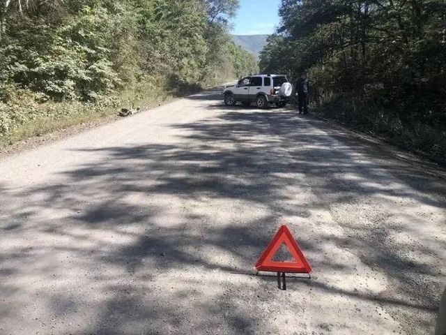 В ДТП в Приморье погиб молодой водитель - Vladnews.ru - Новости Владивосток и Дальнего Востока, 08.09.2026