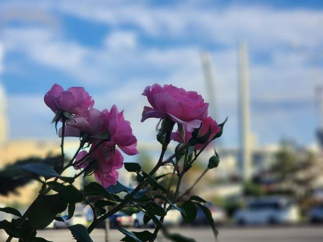 Погода в Приморье: дожди уходят, к середине недели потеплеет до +25 °C - Vladnews.ru - Новости Владивосток и Дальнего Востока, 14.09.2026