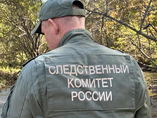 СК начал проверку после обрушения породы на руднике в Приморье - Vladnews.ru - Новости Владивосток и Дальнего Востока, 07.10.2026