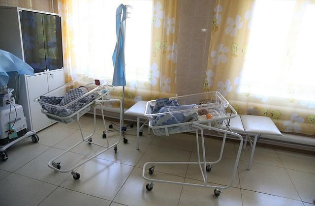 Счастливая приморская осень: за неделю в Приморье родилось 278 малышей Счастливая приморская осень: за неделю в Приморье родилось 278 малышей - Vladnews.ru - Новости Владивосток и Дальнего Востока, 13.10.2026