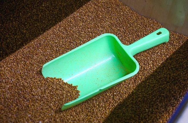 В северных районах Приморья сдерживают цены на товары первой необходимости - Vladnews.ru - Новости Владивосток и Дальнего Востока, 13.10.2026