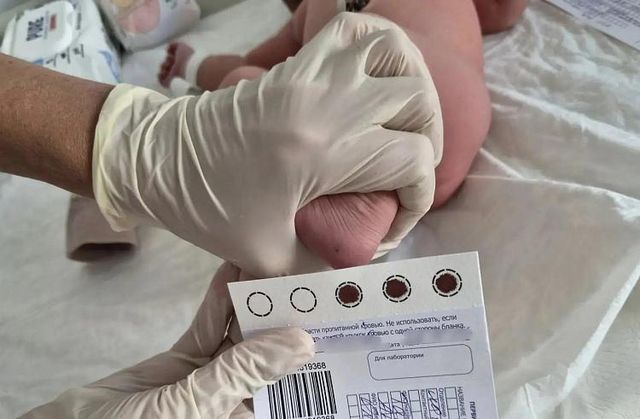 В Приморье родилась первая в этом году тройня - Vladnews.ru - Новости Владивосток и Дальнего Востока, 20.10.2026
