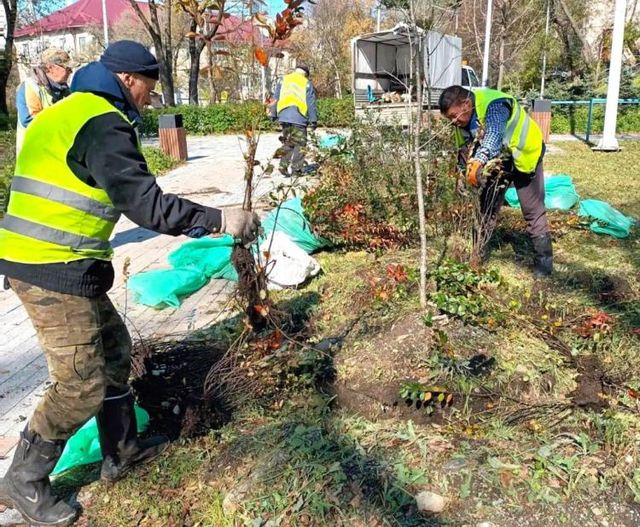 Во Владивостоке за пять дней высадили 330 деревьев и кустарников - Vladnews.ru - Новости Владивосток и Дальнего Востока, 23.10.2026