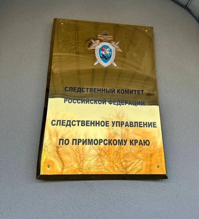 Бастрыкин контролирует дело сиделки из Владивостока, истязавшей пенсионерку - Vladnews.ru - Новости Владивосток и Дальнего Востока, 29.10.2026