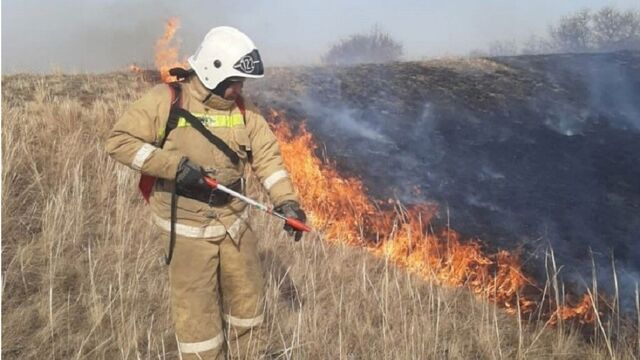 В Алтайском крае завершается пожароопасный сезон. В Алтайском крае завершается пожароопасный сезон. - Алтайская правда, 06.11.2025