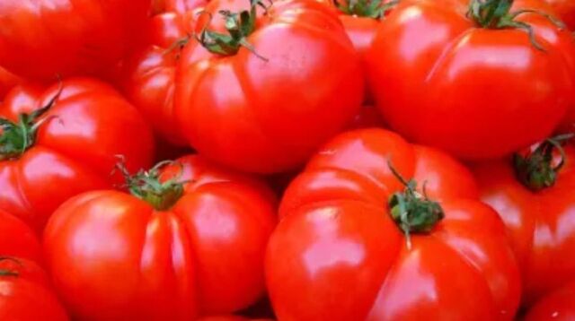В Алтайский край пытались ввезти зараженные томаты и хризантемы - Инцидент Рубцовск, 10.05.2024