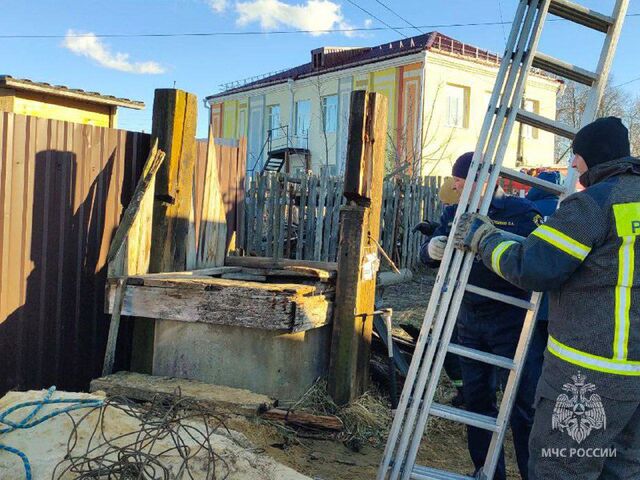 В Нижегородской области сотрудники МЧС России спасли собаку. - Про Город Нижний Новгород, 12.03.2025