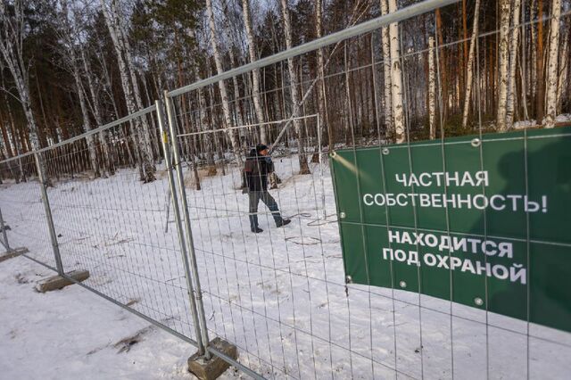 Мэр Екатеринбурга и защитники березовой рощи в Академическом нашли компромисс - 66.RU | Новости из Екатеринбурга, 12.03.2025