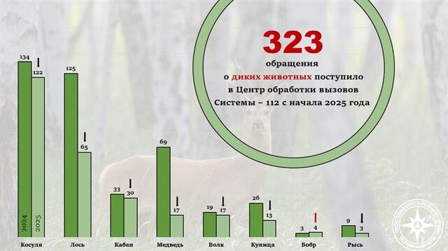 В Башкирии чаще всего можно столкнуться с косулей или лосем - РесБашка, 10.06.2025