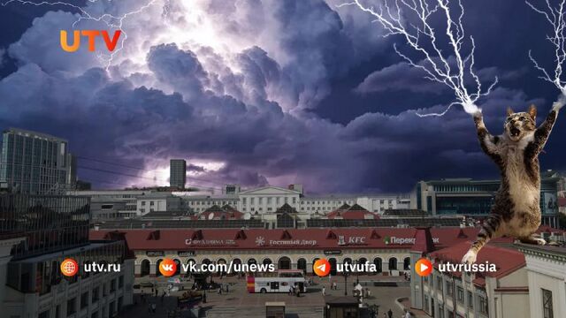 Сегодня, 12 июня, в Башкирии ожидаются дожди с грозами. В отдельных районах возможны ливни и град. Во время непогоды порывы юго-восточного ветра усилятся. Сегодня, 12 июня, в Башкирии ожидаются дожди с грозами. В отдельных районах возможны ливни и град. Во время непогоды порывы юго-восточного ветра усилятся. - Телеканал UTV, 12.06.2025