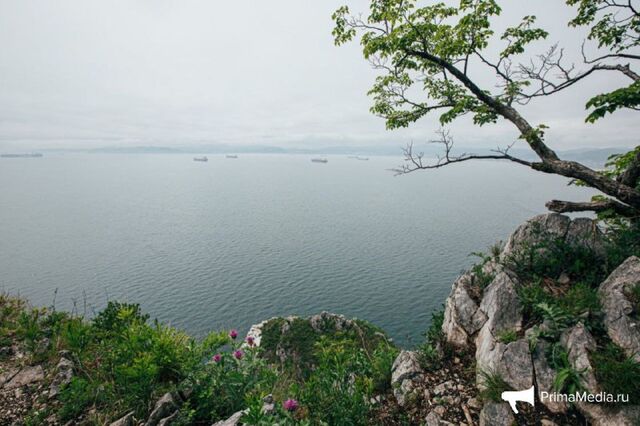 Сегодня в Приморье местами кратковременный дождь, гроза, утром в отдельных районах туман Сегодня в Приморье местами кратковременный дождь, гроза, утром в отдельных районах туман - PrimaMedia.Приморье, 30.06.2025