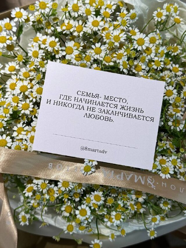 Дарим цветы за любовь к семье! - DVHAB.ru, 01.07.2025