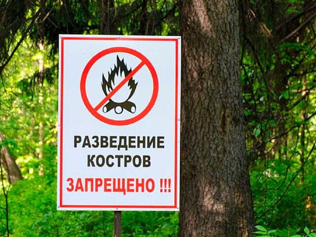 В Сочи объявили пожароопасность 4 класса - Новости Сочи | sochinews.io, 14.07.2025