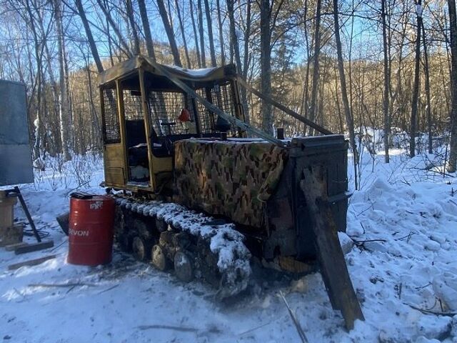 Жителя Приморья поймали на незаконной рубке тополей в Хабаровском крае - Губерния l Хабаровск, 10.03.2026