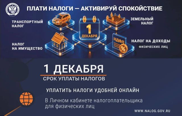 Жителям Нижегородской области напомнили об уплате налогов - Нижегородские новости, 12.10.2026