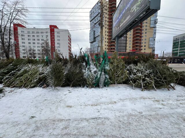 С улиц Челябинска после Нового года убрали все елочные базары - Вечерний Челябинск, 02.01.2025