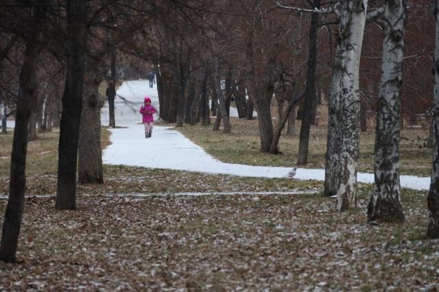 Пост об избиении школьницы в Челябинске оказался фейком - Вечерний Челябинск, 07.11.2025