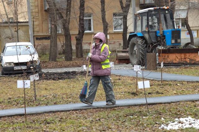 Госжилинспекция назвала ответственных за уборку листвы во дворах Челябинска - Вечерний Челябинск, 19.11.2025